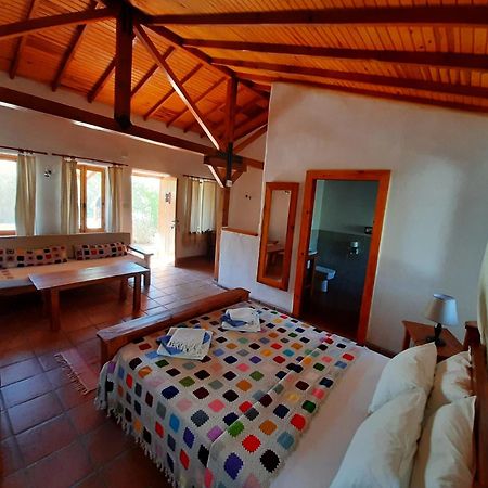 Ionia Guest House أيدين المظهر الخارجي الصورة