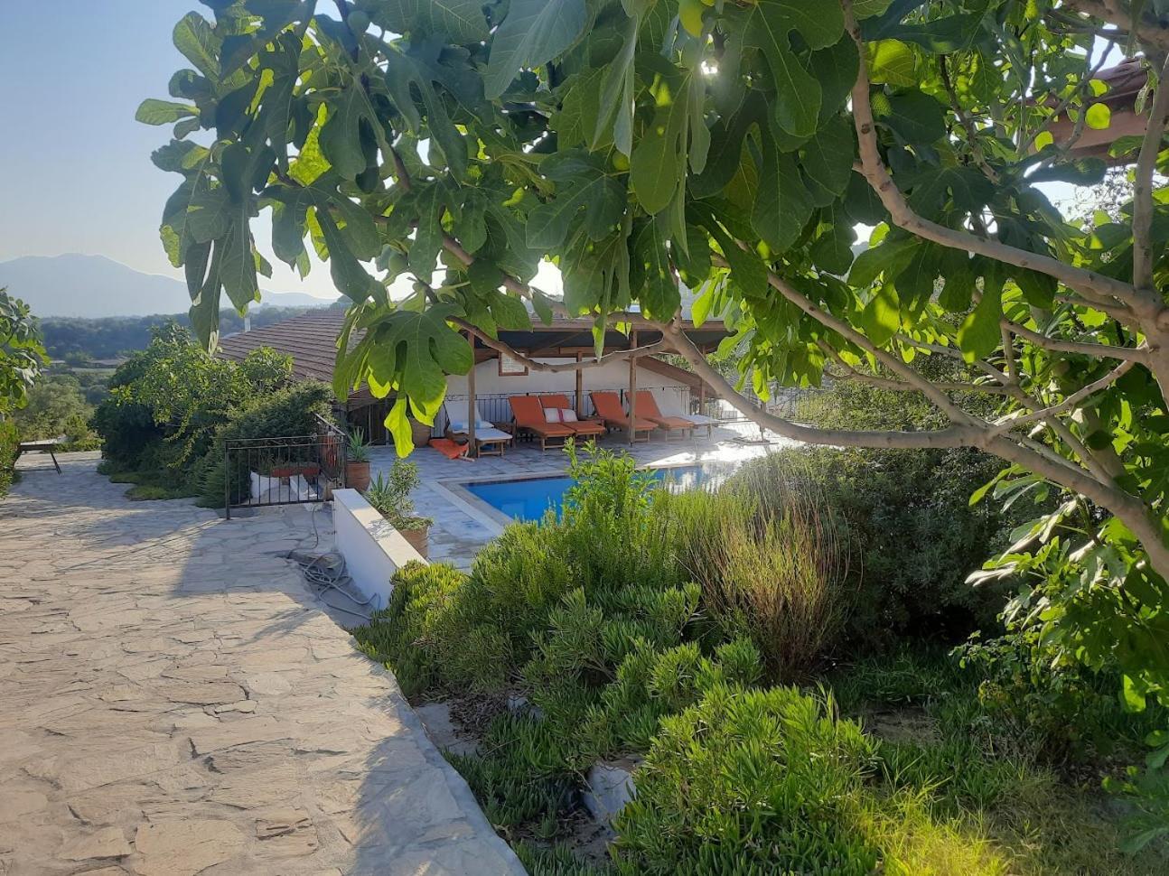 Ionia Guest House أيدين المظهر الخارجي الصورة