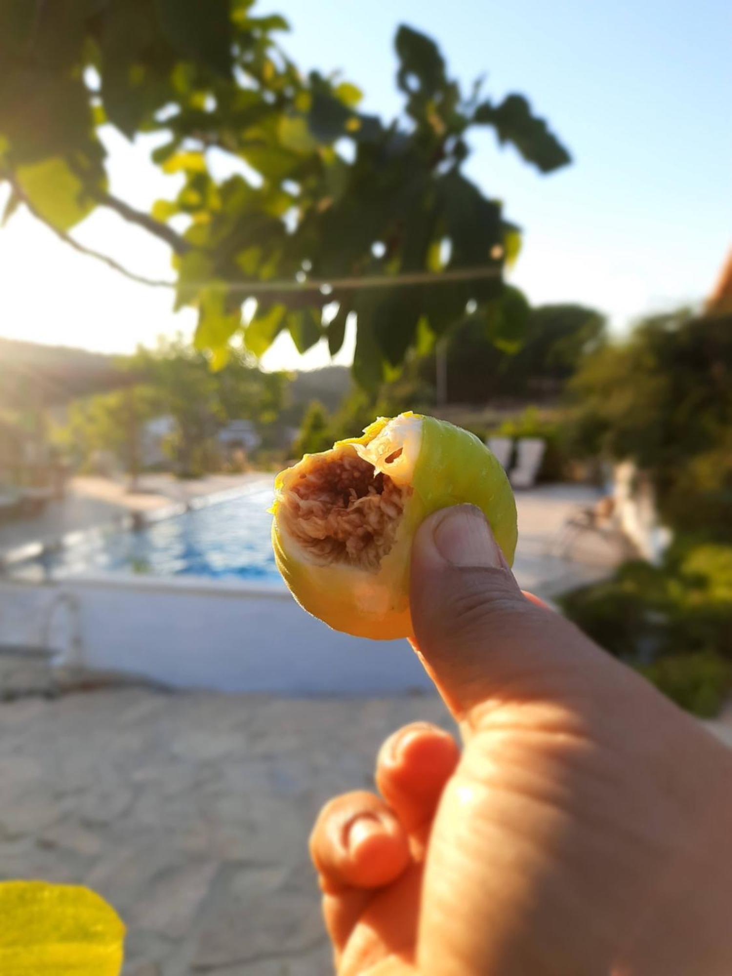 Ionia Guest House أيدين المظهر الخارجي الصورة