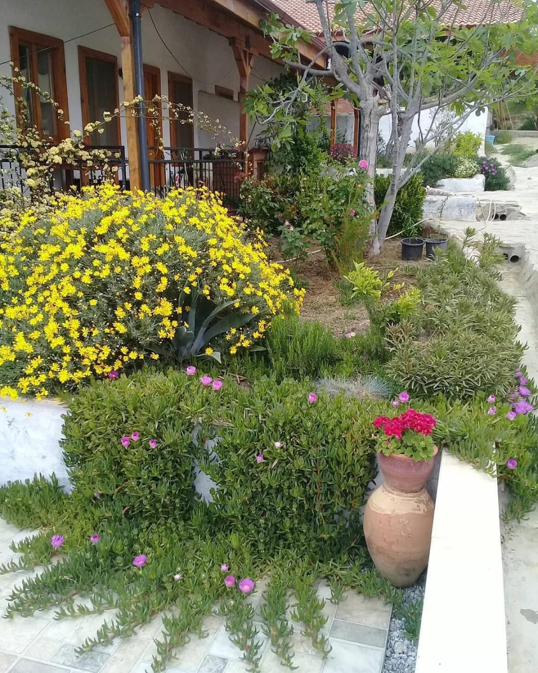 Ionia Guest House أيدين المظهر الخارجي الصورة
