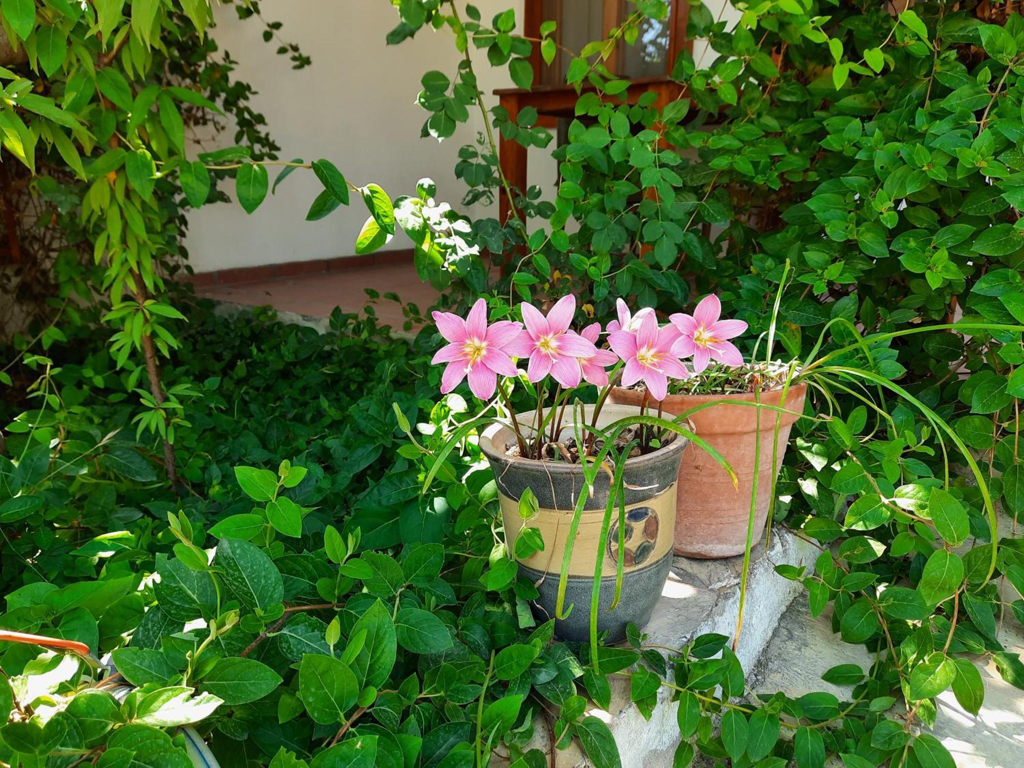 Ionia Guest House أيدين المظهر الخارجي الصورة