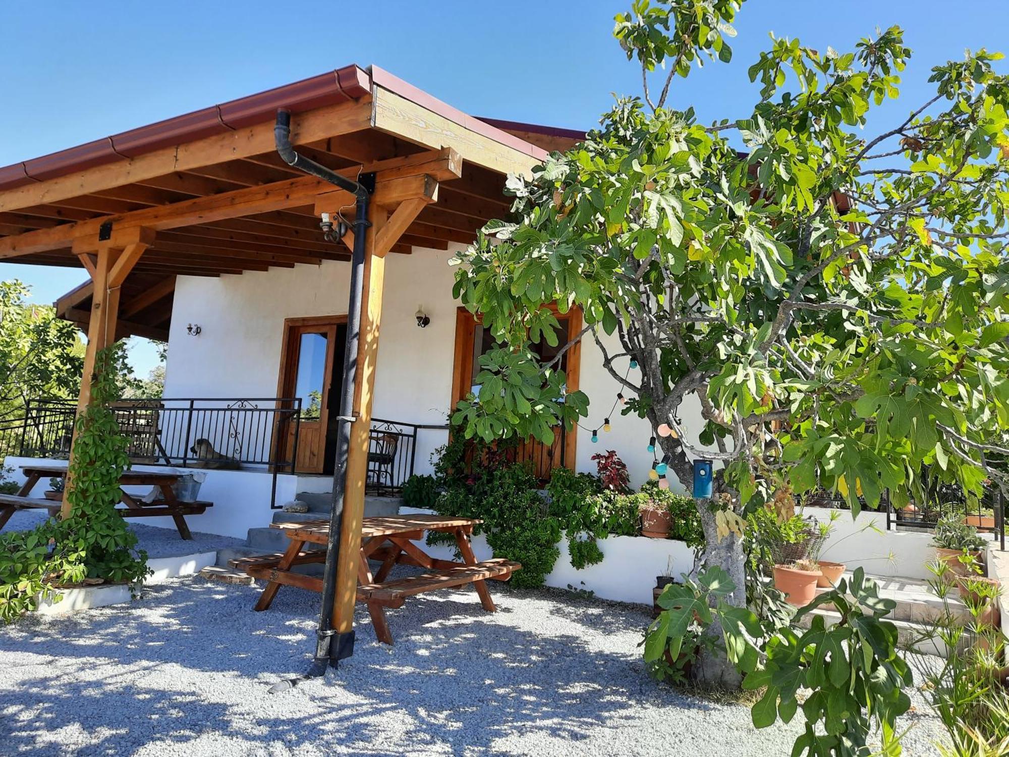 Ionia Guest House أيدين المظهر الخارجي الصورة