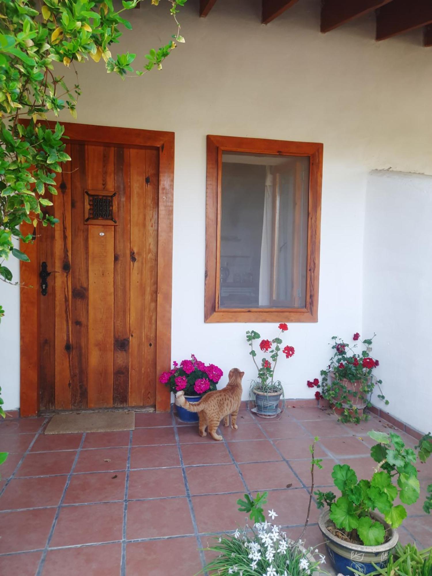 Ionia Guest House أيدين المظهر الخارجي الصورة