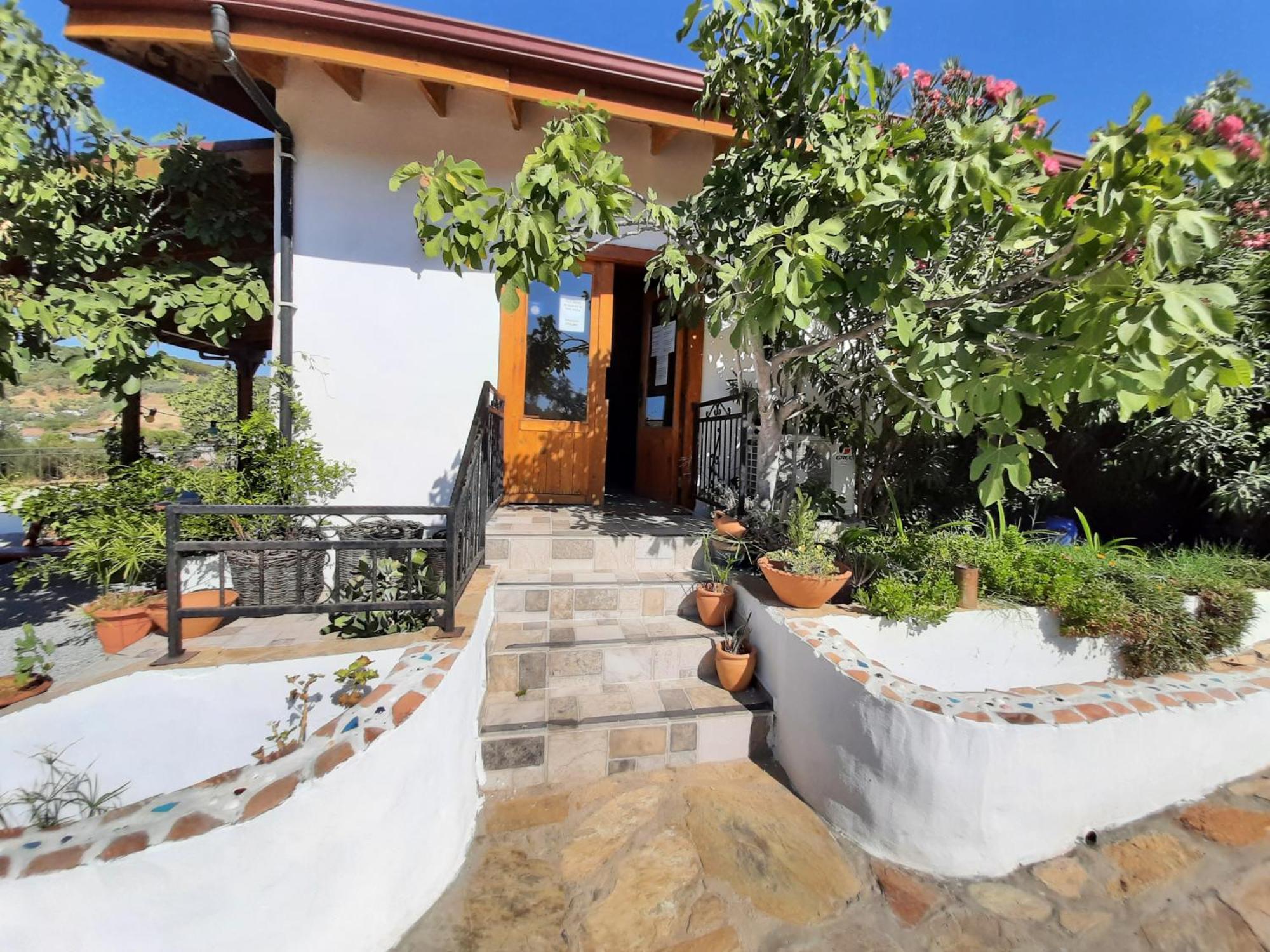 Ionia Guest House أيدين المظهر الخارجي الصورة