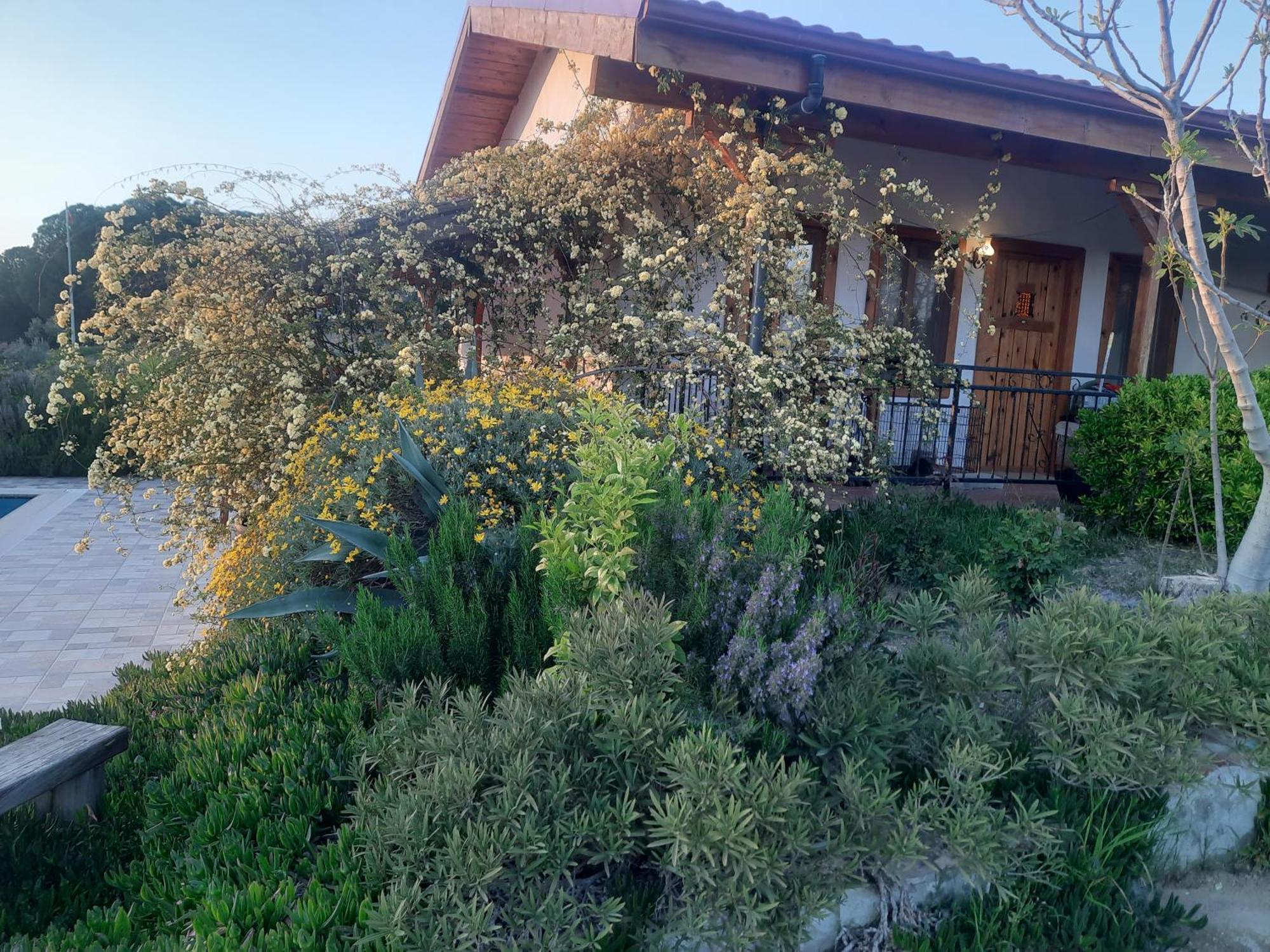 Ionia Guest House أيدين المظهر الخارجي الصورة
